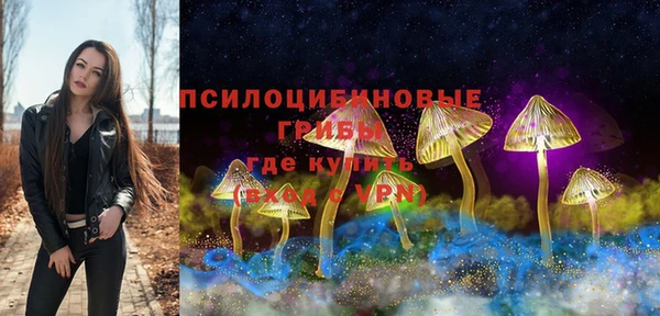 синтетический гашиш Богородск